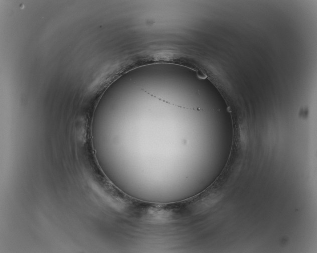 X0000111460311200907201119