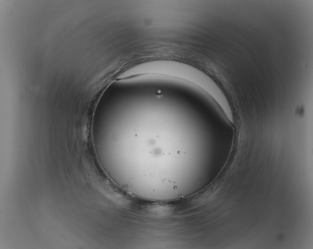 X0000111460313200907201119