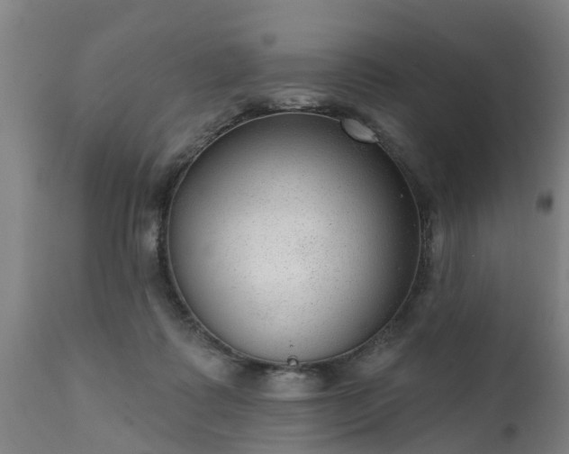 X0000111460315200907201119