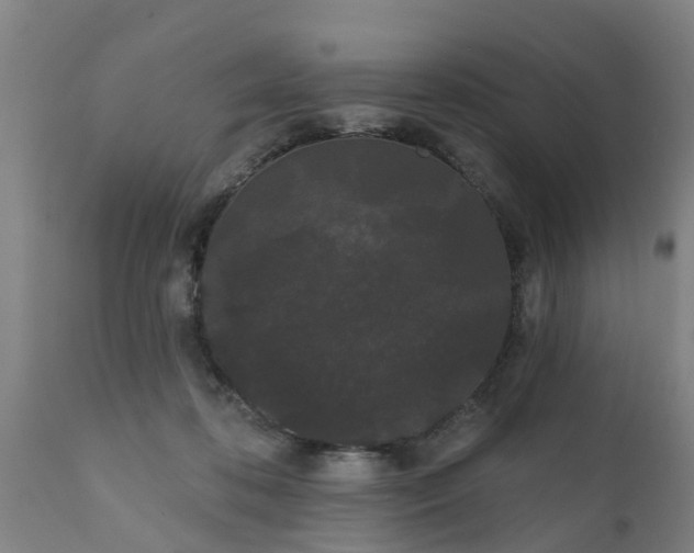 X0000111460316200907201119