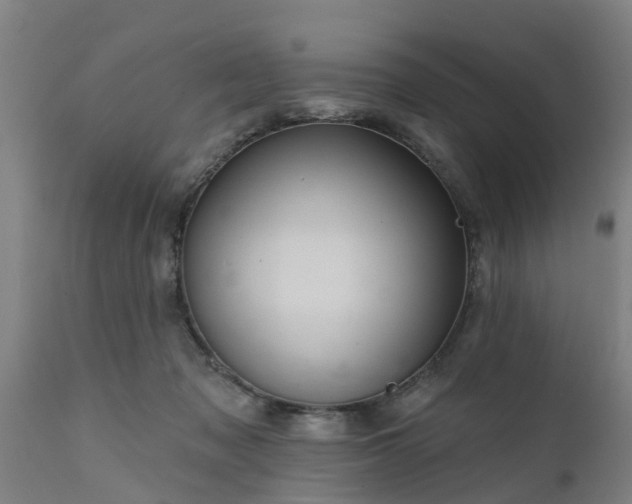 X0000111460317200907201119