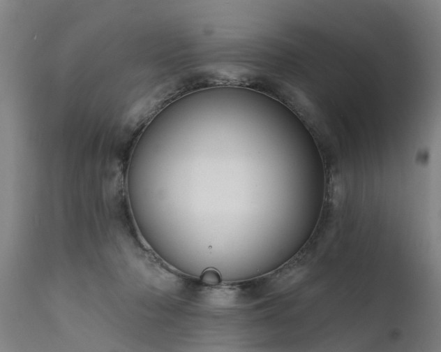 X0000111460318200907201119