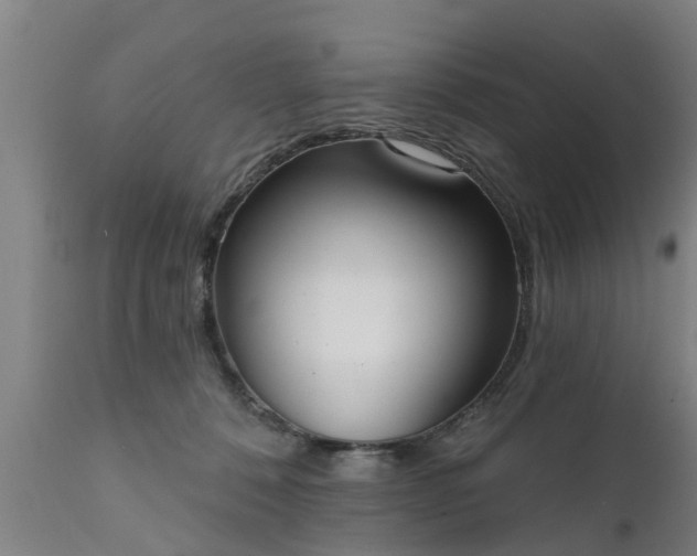 X0000111460320200907201119