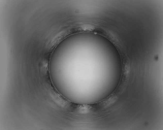 X0000111460321200907201119