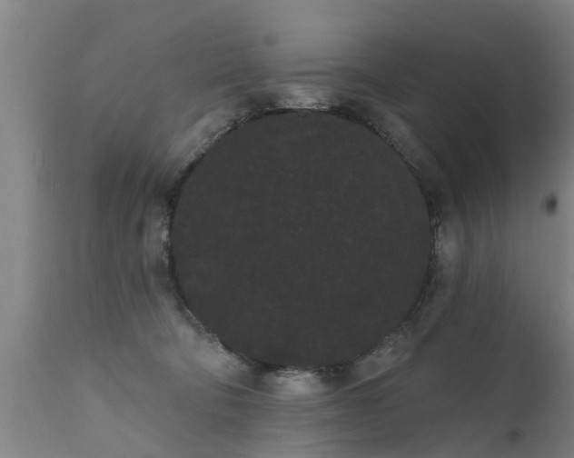 X0000111460322200907201118