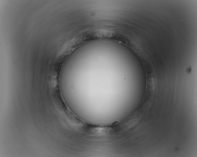 X0000111460323200907201118