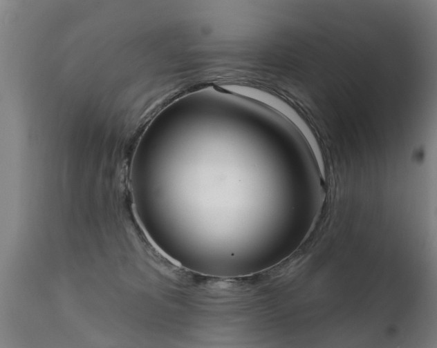 X0000111460325200907201118