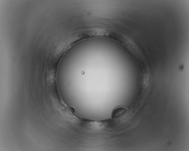 X0000111460326200907201118