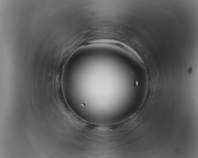 X0000111460327200907201118