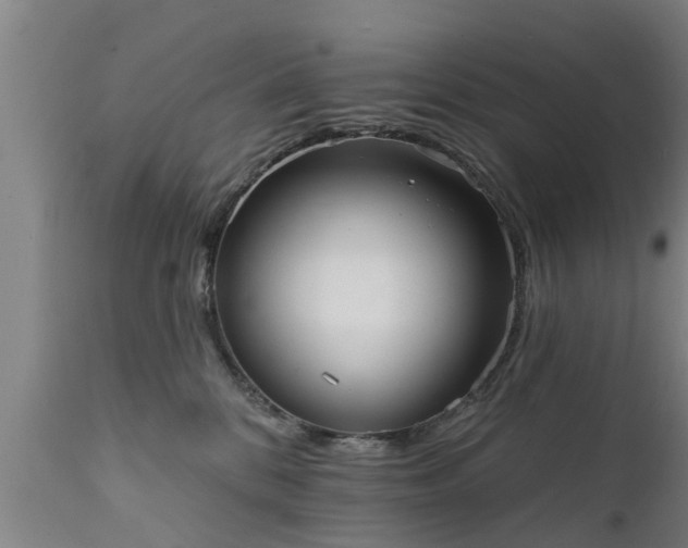 X0000111460328200907201118