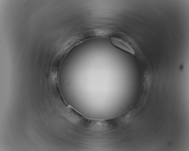 X0000111460329200907201118