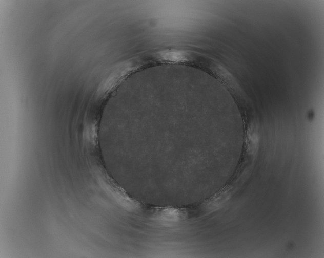 X0000111460330200907201118