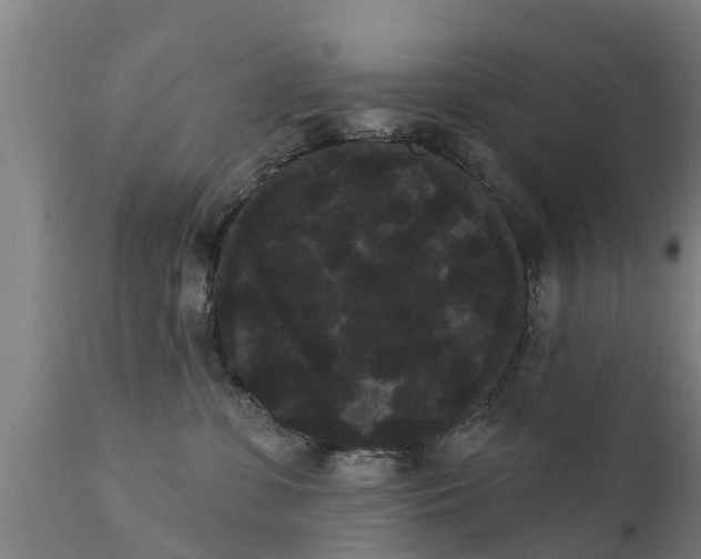 X0000111460331200907201118