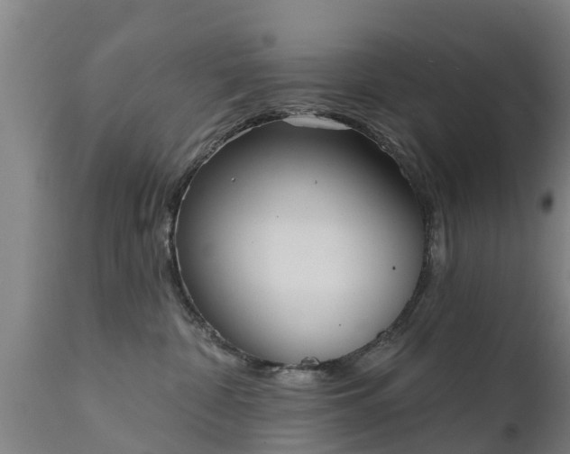 X0000111460332200907201118