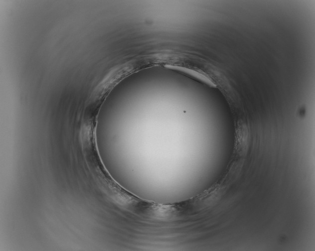 X0000111460333200907201118