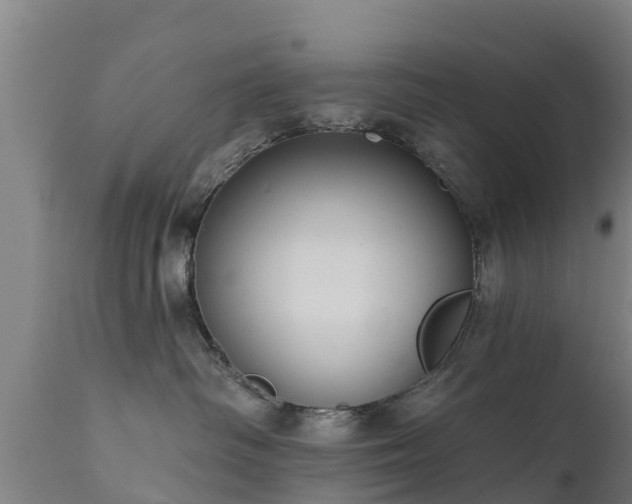 X0000111460334200907201118