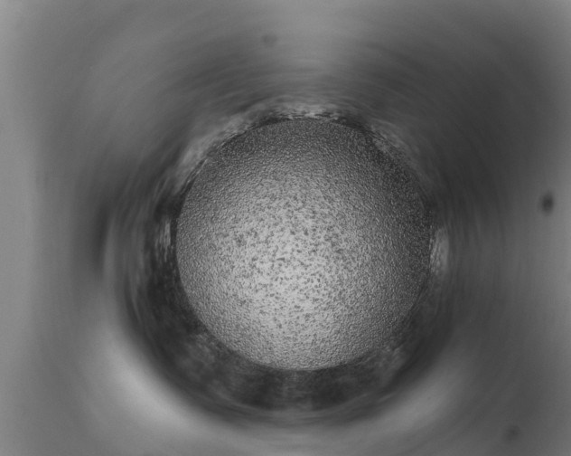 X0000111460335200907201118