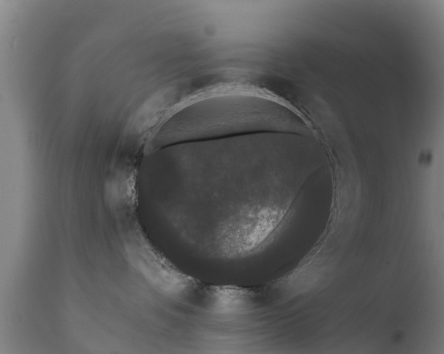 X0000111460336200907201118