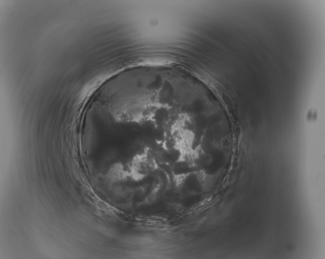 X0000111460337200907201118