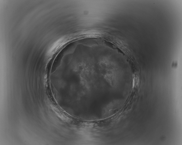 X0000111460339200907201118