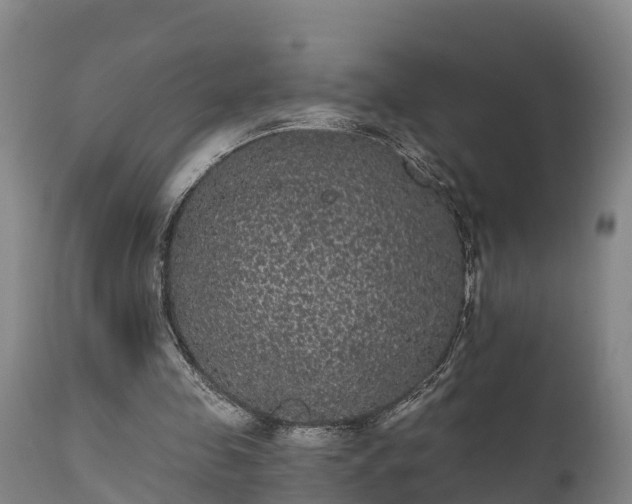 X0000111460341200907201118