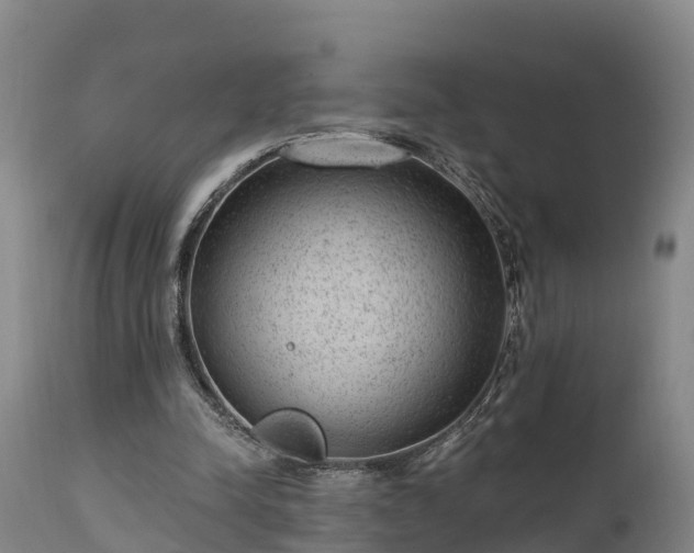 X0000111460342200907201118