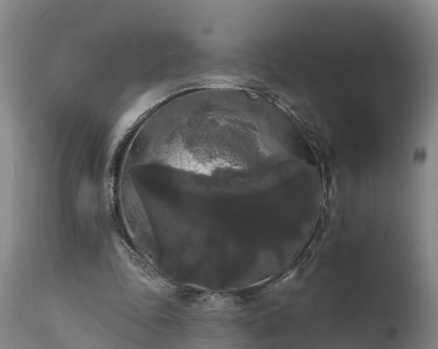 X0000111460343200907201118