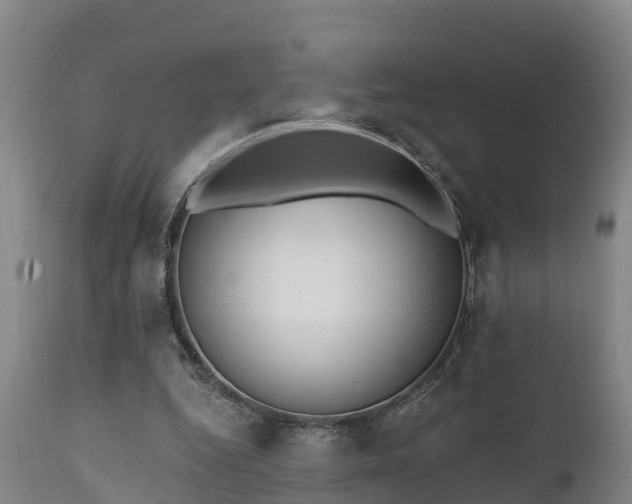 X0000111460344200907201118