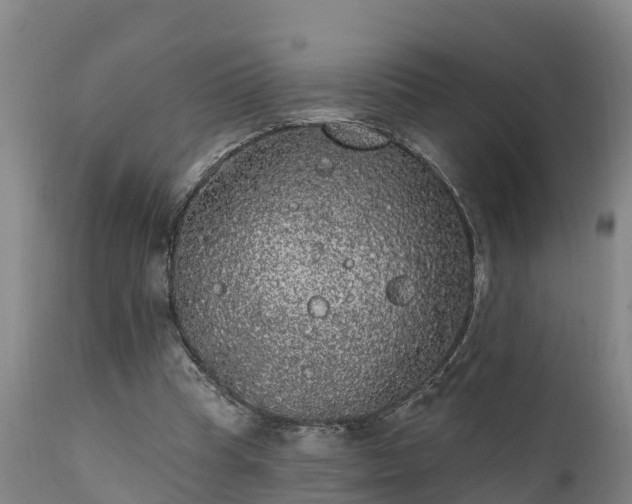 X0000111460345200907201118