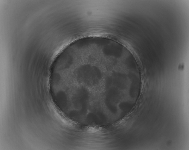 X0000111460346200907201118