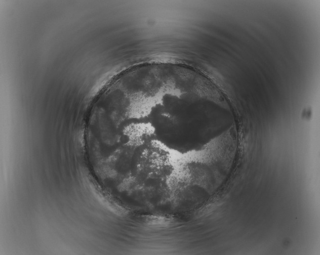 X0000111460347200907201118