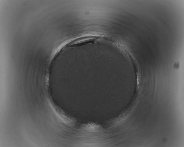 X0000111460348200907201118