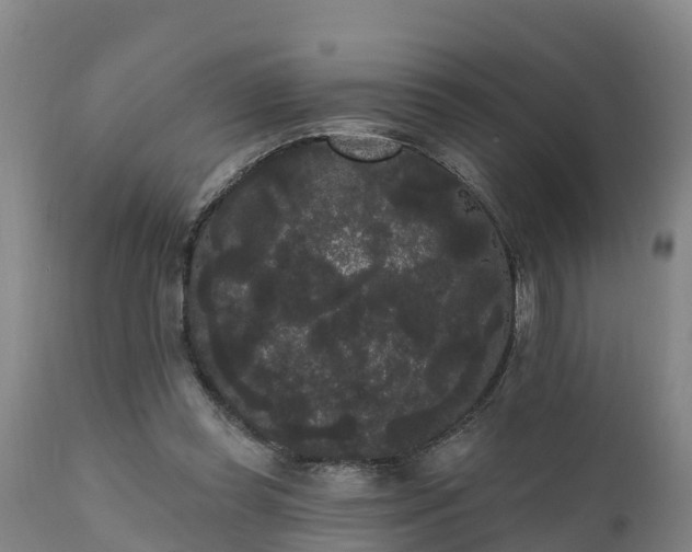 X0000111460349200907201118