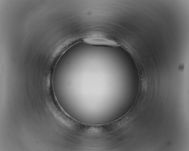 X0000111460350200907201118