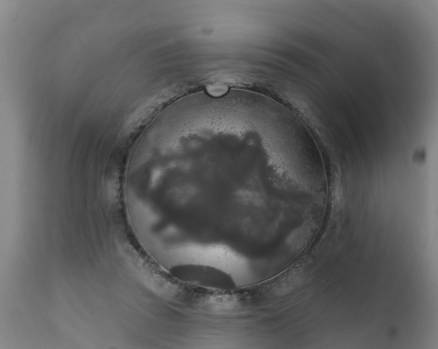 X0000111460353200907201118