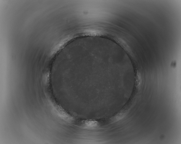 X0000111460355200907201118