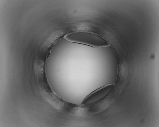 X0000111460356200907201118