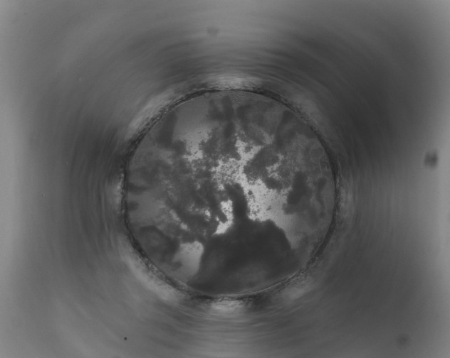 X0000111460357200907201118