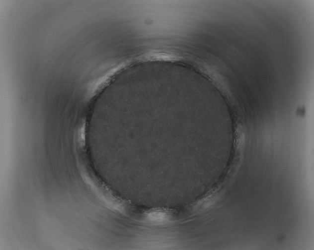 X0000111460358200907201118