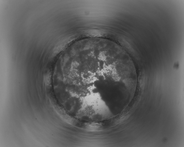 X0000111460359200907201118