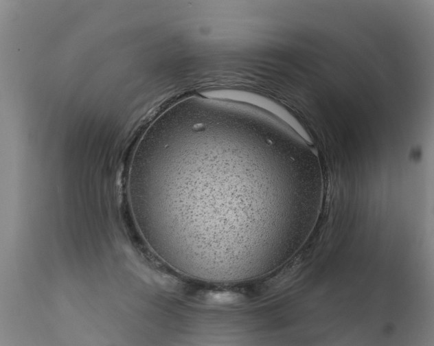 X0000111460360200907201118