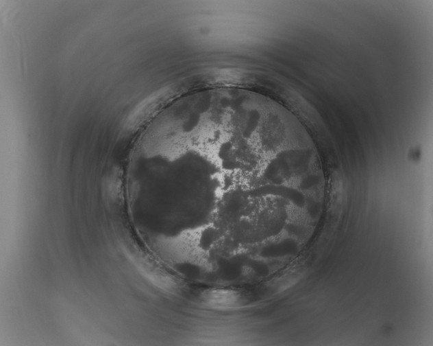 X0000111460361200907201118