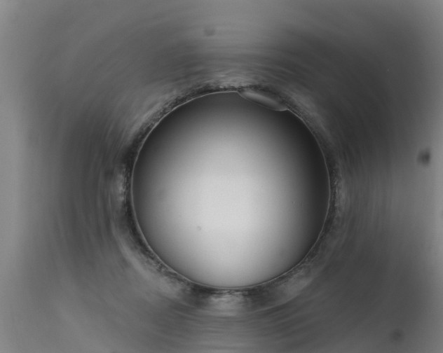 X0000111460362200907201118