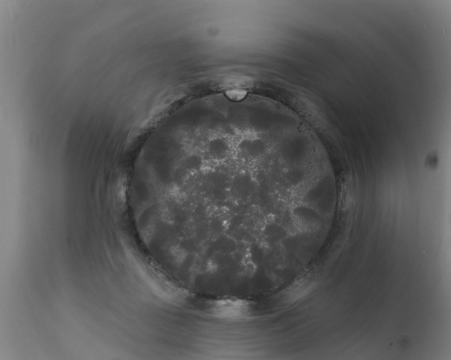 X0000111460363200907201118