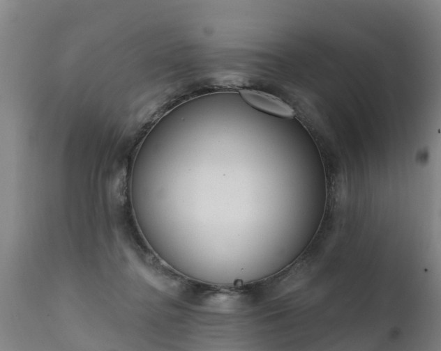 X0000111460364200907201118