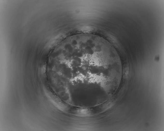 X0000111460365200907201118