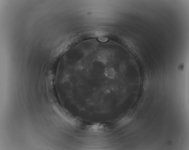 X0000111460366200907201118