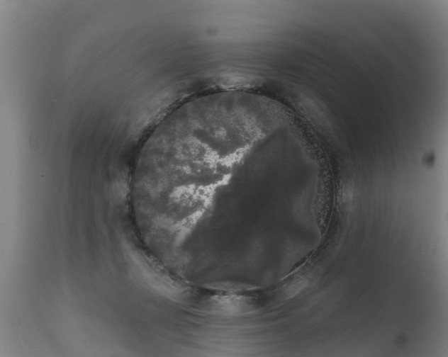 X0000111460367200907201118