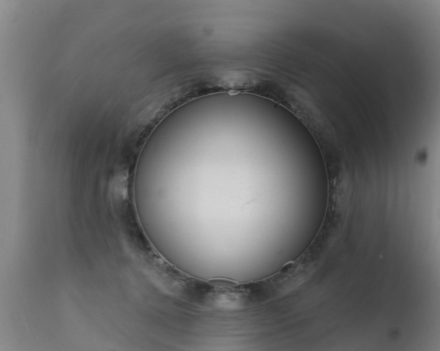 X0000111460368200907201118