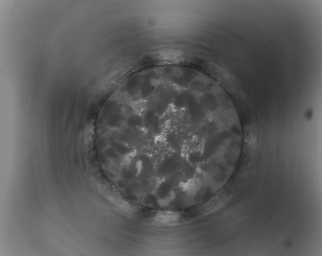 X0000111460369200907201118